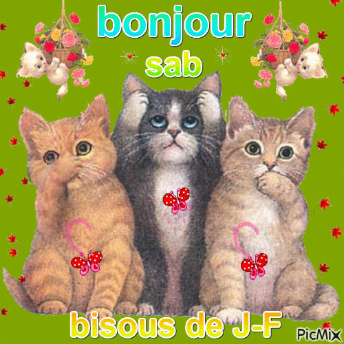 bonjour sab - Бесплатни анимирани ГИФ