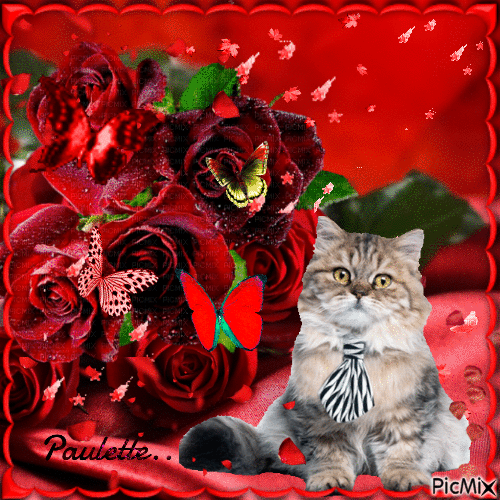 roses rouge dans un cadre rouge - GIF animé gratuit