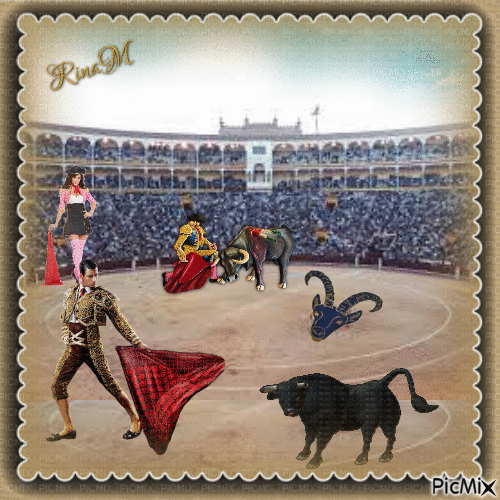 bullfights - Zdarma animovaný GIF
