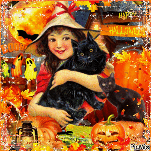 Halloween witch & black cat - Free animated GIF