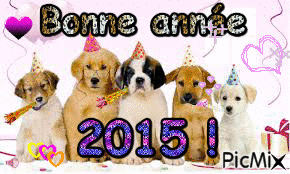 Bonne année 2015 ! - 無料のアニメーション GIF