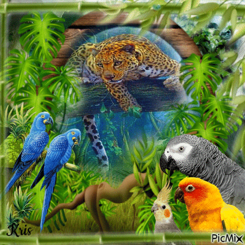 Perroquets et jaguar - Ilmainen animoitu GIF