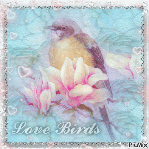 Love Birds - Gratis geanimeerde GIF