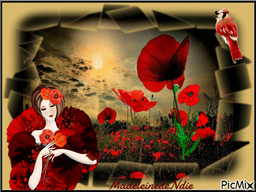 j'aime les coquelicots - Free animated GIF