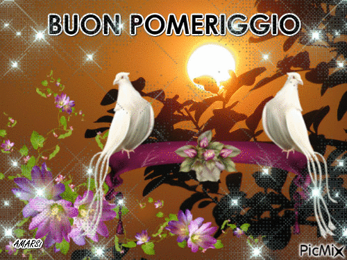 BUON POMERIGGIO - Free animated GIF