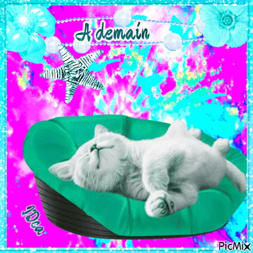 Bonne nuit les chatons - GIF animate gratis