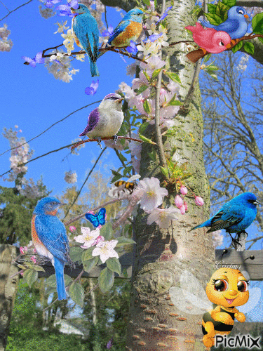 fleurs de cerisier - GIF animado grátis