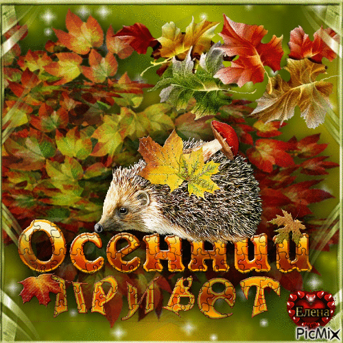 Осенний привет - Ücretsiz animasyonlu GIF