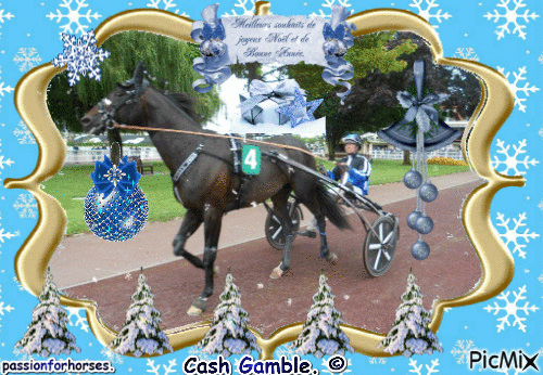 Le champion Cash Gamble. - Безплатен анимиран GIF