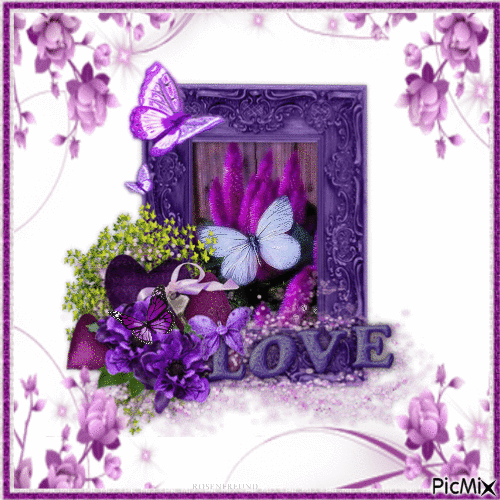 Purple-Lila-Violet - Animovaný GIF zadarmo