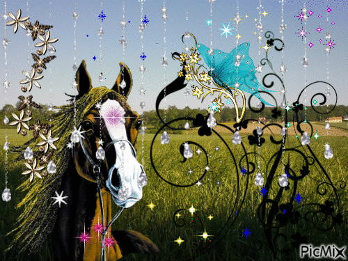 Cheval dans les champs - Free animated GIF