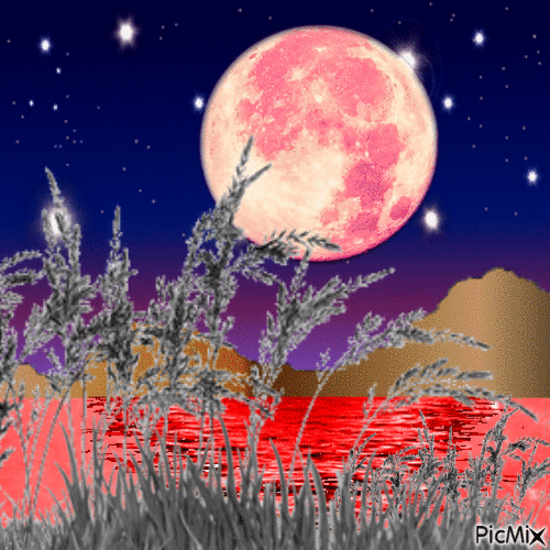 Pink Moon - Free animated GIF - PicMix