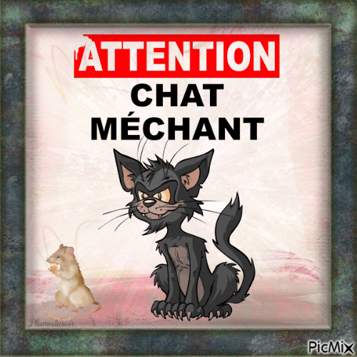 "Chat méchant". - Δωρεάν κινούμενο GIF