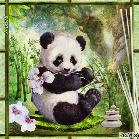 Panda - Ilmainen animoitu GIF