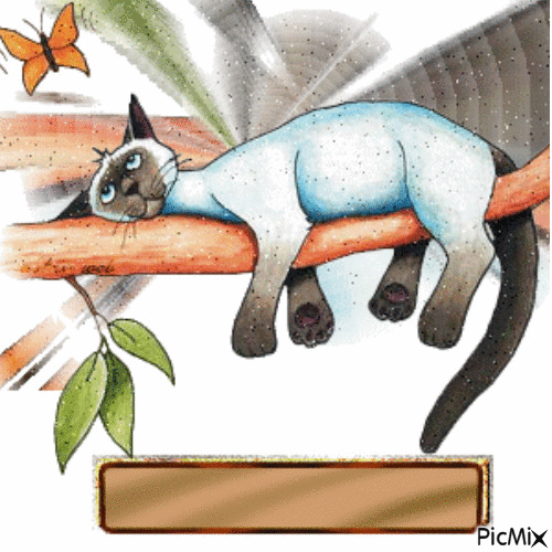 ébauche chat sur une branche - Gratis geanimeerde GIF
