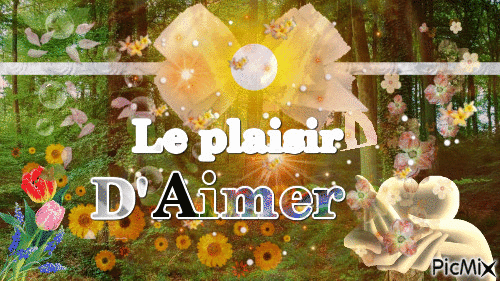 Le plaisir D'Aimer - GIF animado grátis