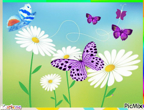 fleurs image animé papillon - Animovaný GIF zadarmo