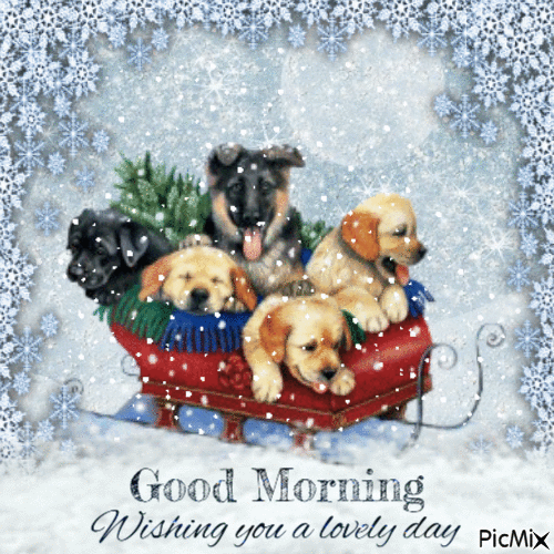 Good Morning, doggies, sled,snow - Darmowy animowany GIF