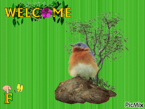 Welcome - Nemokamas animacinis gif