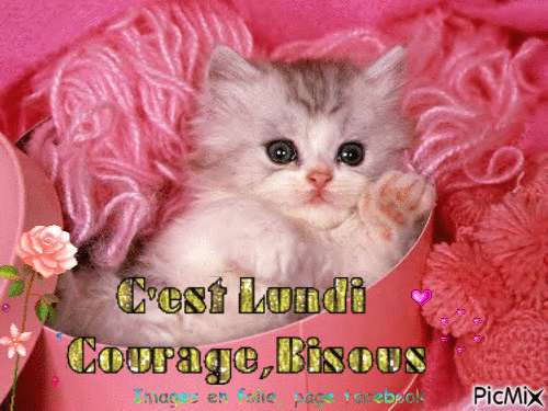 lundi courage - Besplatni animirani GIF