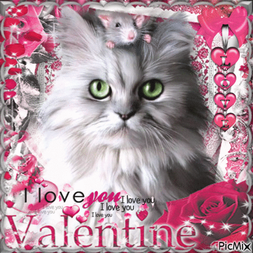Cat and mouse of Valentine's Day - GIF animé gratuit