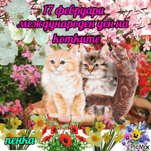 ден на котките - Ingyenes animált GIF