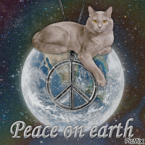 kitties for world peace☮ - Nemokamas animacinis gif