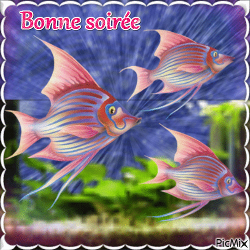 SOIREE 07 04 - Бесплатный анимированный гифка