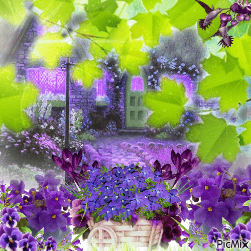 violets - Free animated GIF