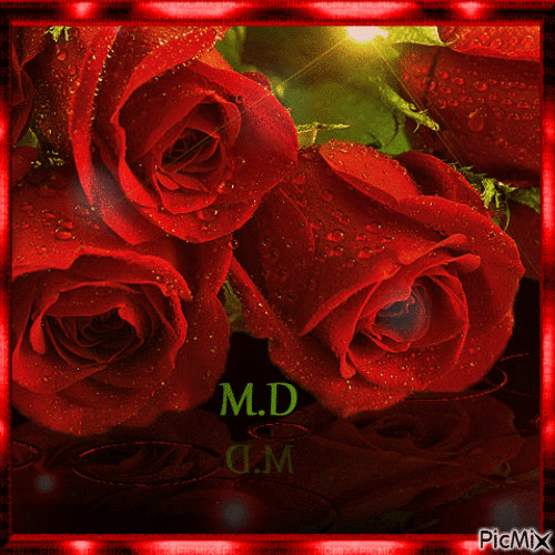 Rosas rojas - Besplatni animirani GIF