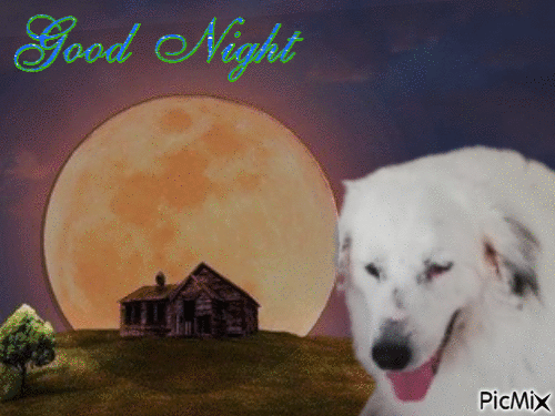 Good night - Besplatni animirani GIF