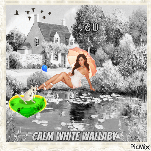 Calm White Wallaby - GIF animé gratuit