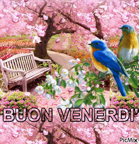 BUON VENERDI' - Безплатен анимиран GIF