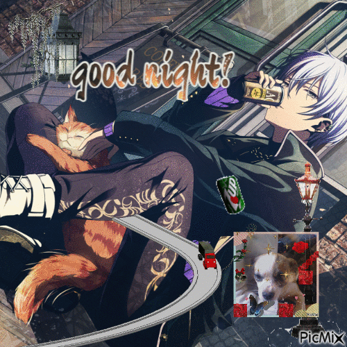good night toya - 免费动画 GIF
