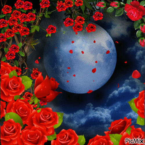 Moon And Roses - Free animated GIF