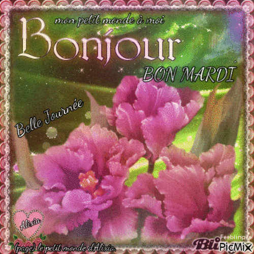 bonjour, bon mardi - Бесплатный анимированный гифка