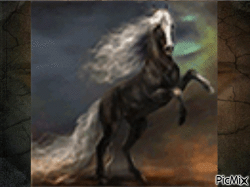 Horse - Bezmaksas animēts GIF