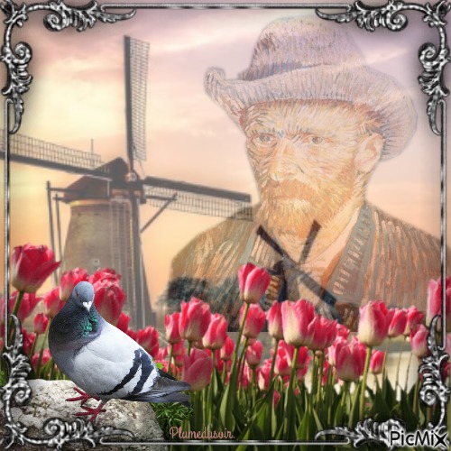 Pigeon Van Gogh. - gratis png