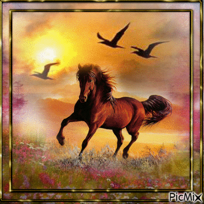cheval galop - Бесплатный анимированный гифка