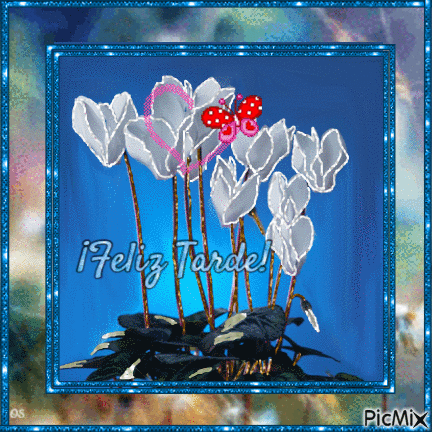 Flores Blancas - GIF animado grátis