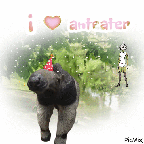 anteater is my Passion - Zdarma animovaný GIF