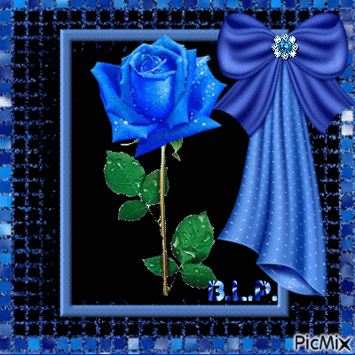 rose blue - 免费动画 GIF