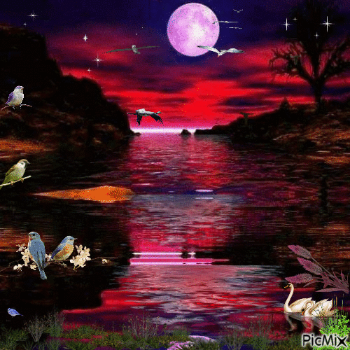 Moon Lake - Darmowy animowany GIF