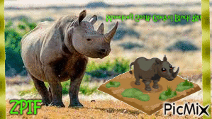 Munching South Central Black Rhino - Nemokamas animacinis gif