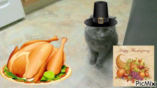 THANKSGIVING NORRY - фрее пнг