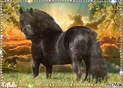 Chevaux - Free animated GIF