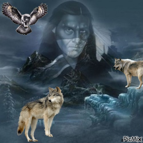 owl and wolf - ingyenes png