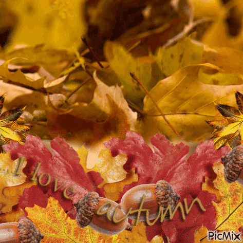 Autumn ... - Besplatni animirani GIF