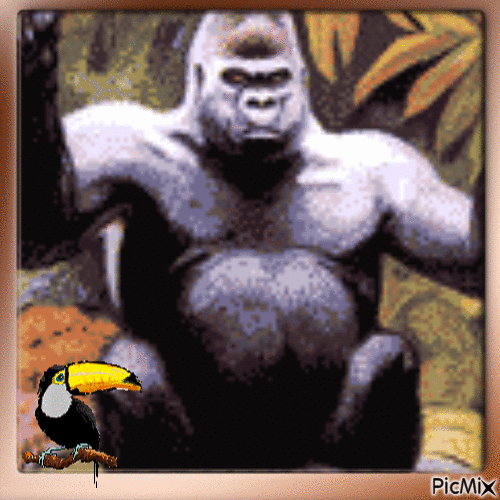 Mon Ami le Gorille - Free animated GIF