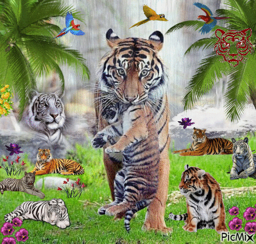 Tiger Falls - Bezmaksas animēts GIF